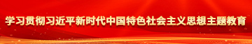 淫胸学习贯彻习近平新时代中国特色社会主义思想主题教育